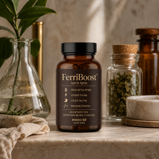 FerriBoost